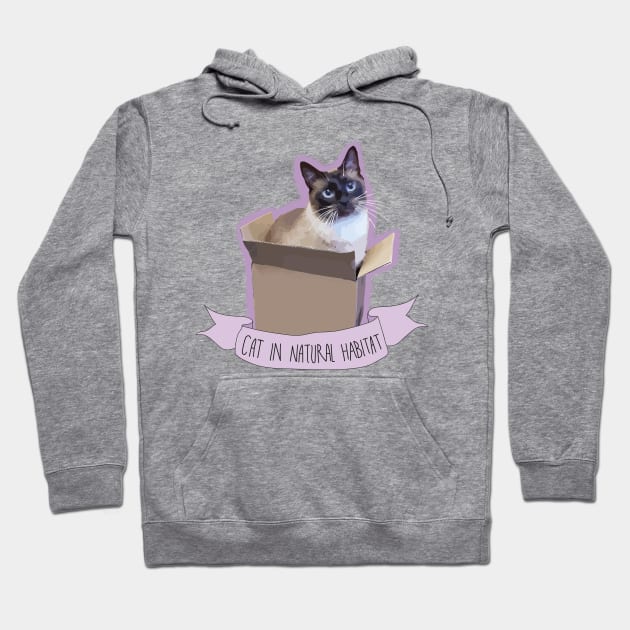 Cat in a box Hoodie by Online_District